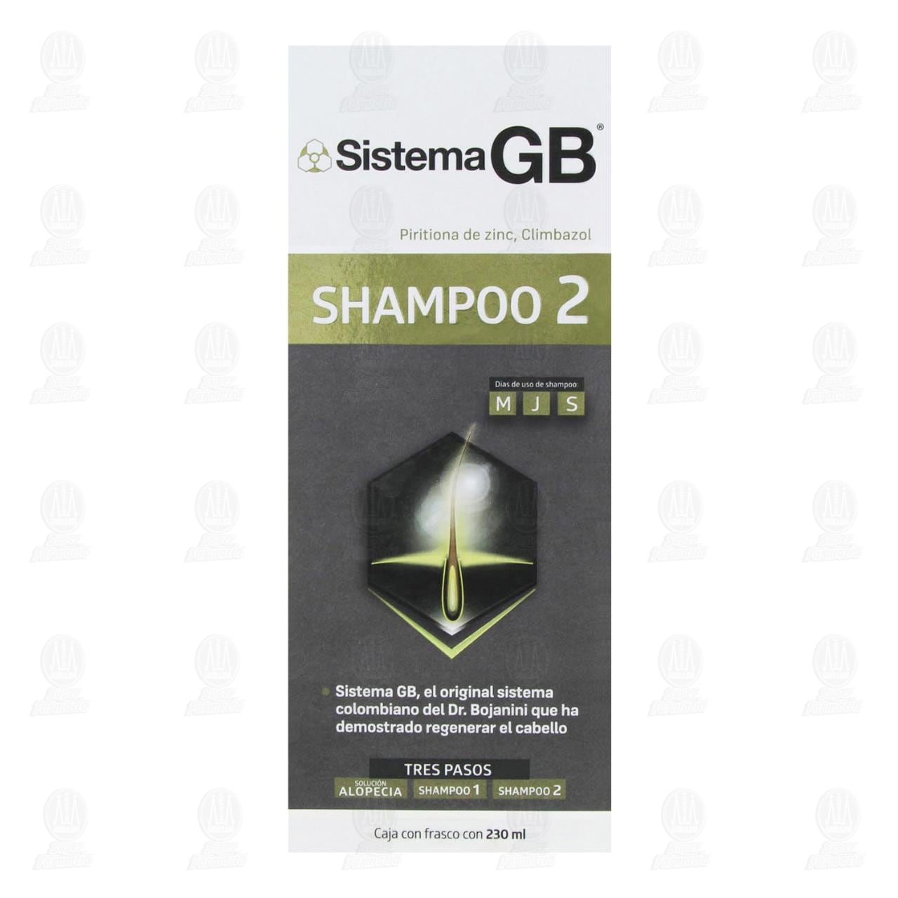 Sistema GB Shampoo 1 & 2 Kit – Ketoconazole + Zinc & Climbazole – Hair Regrowth & Dandruff Control